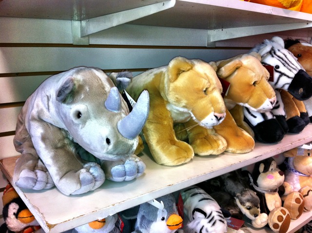 Rhino, Lions & Zebra